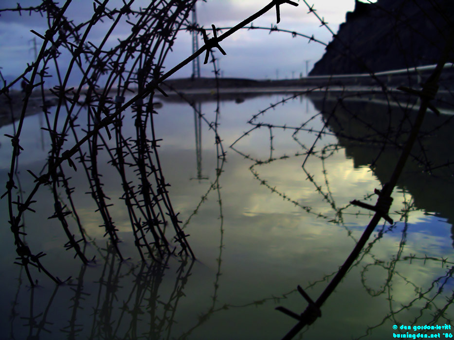 Barb Wire Water